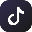 TikTok Logo