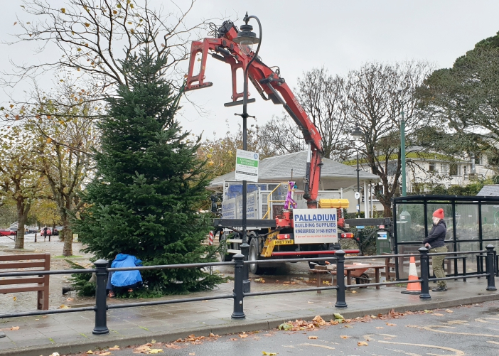 Christmas Tree Kingsbridge